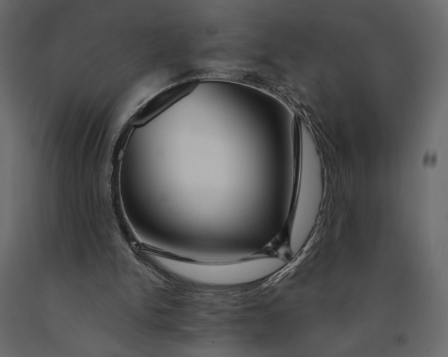 X0000091090150200708271303