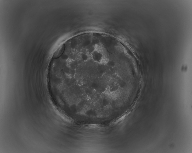 X0000091090151200708271303