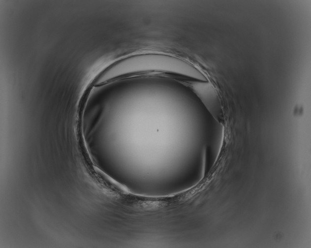 X0000091090152200708271303