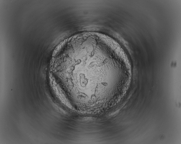 X0000091090153200708271303