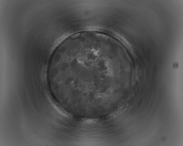 X0000091090155200708271303