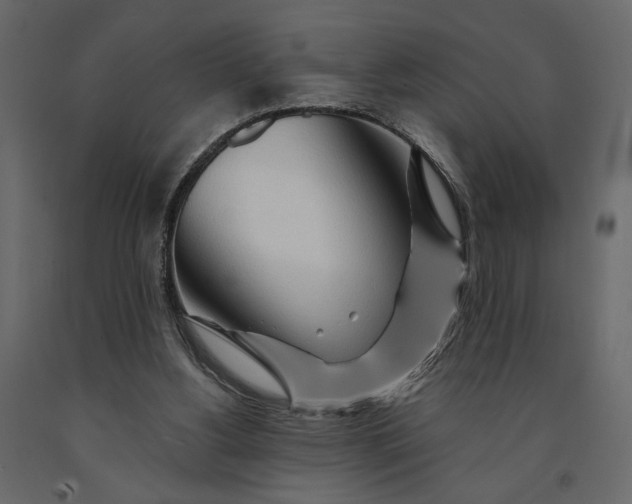 X0000091090156200708271303