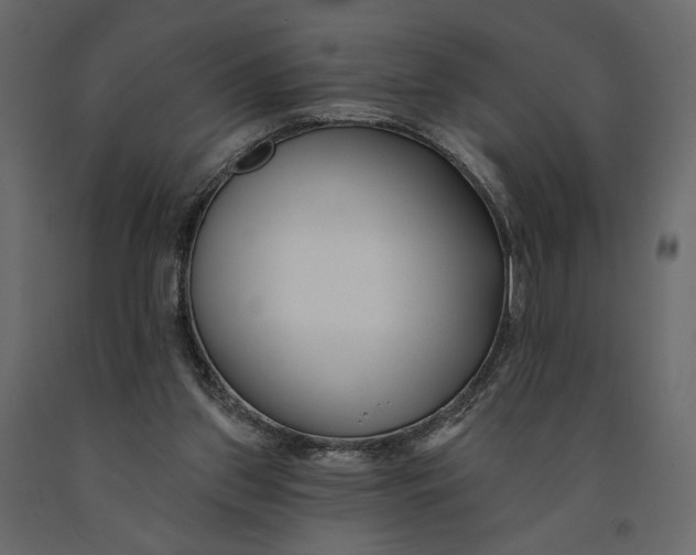 X0000091090157200708271303