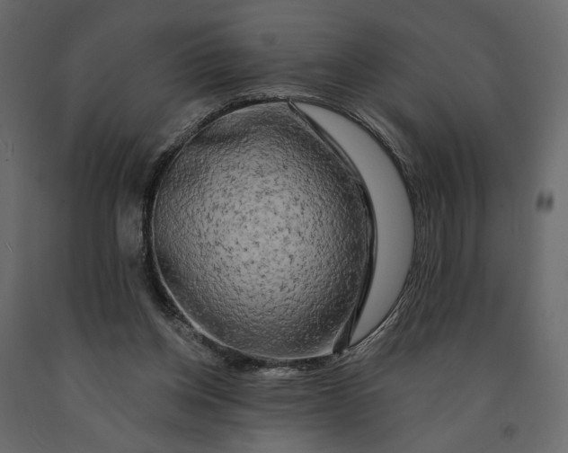 X0000091090158200708271303