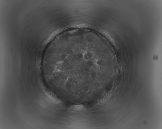 X0000091090159200708271303