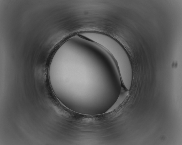 X0000091090160200708271303