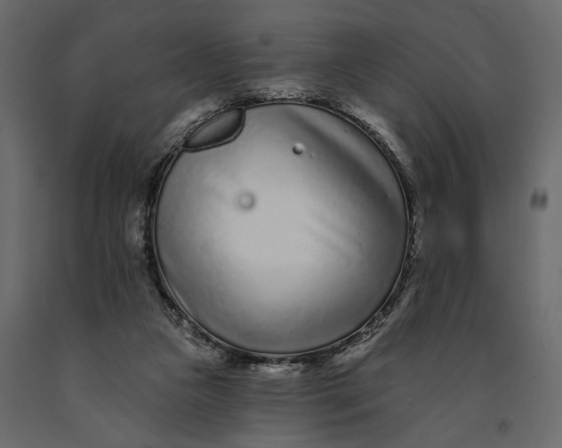 X0000091090161200708271303