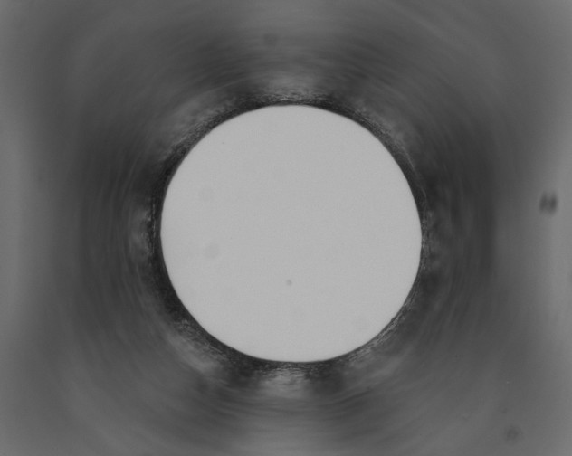 X0000091090162200708271303