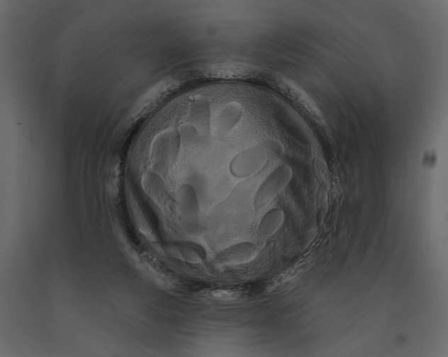 X0000091090163200708271303