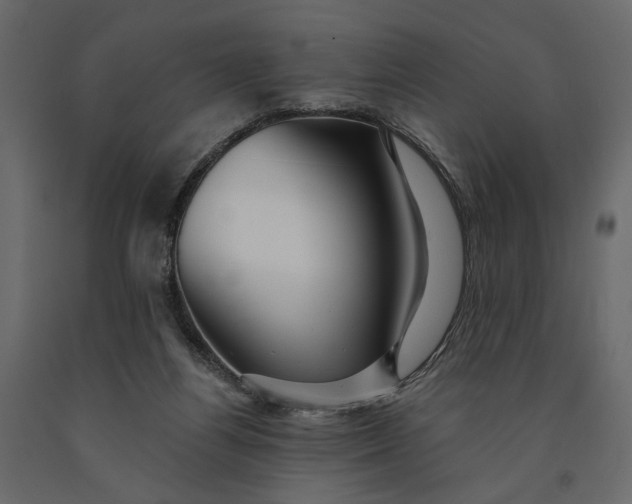 X0000091090164200708271303