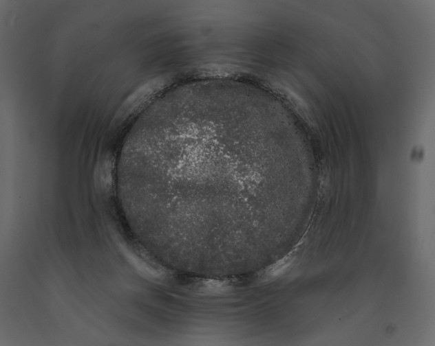 X0000091090166200708271303