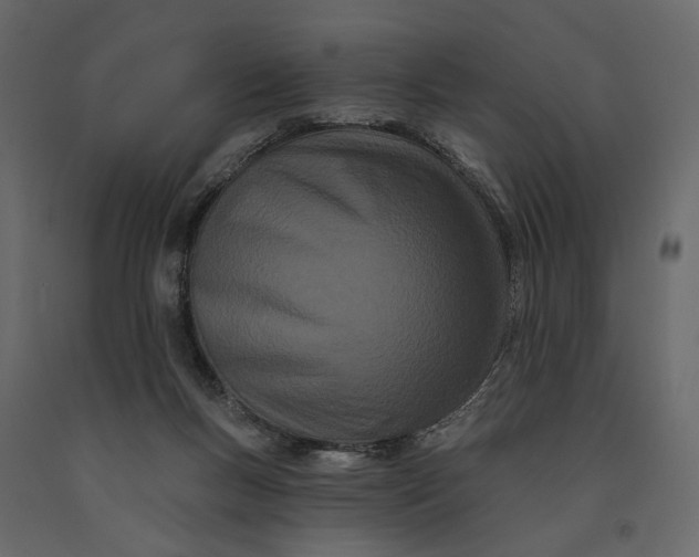 X0000091090167200708271303