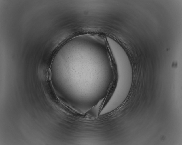 X0000091090168200708271303