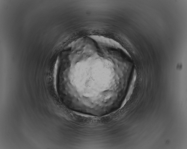 X0000091090169200708271303