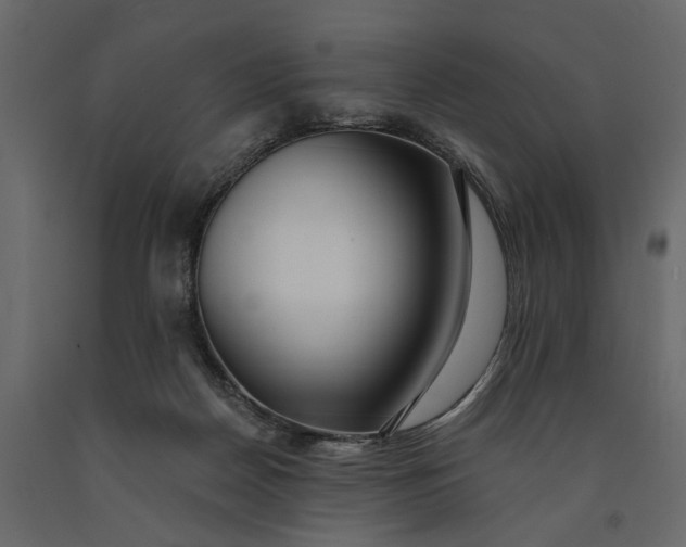 X0000091090170200708271303