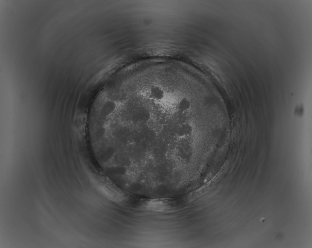 X0000091090171200708271303