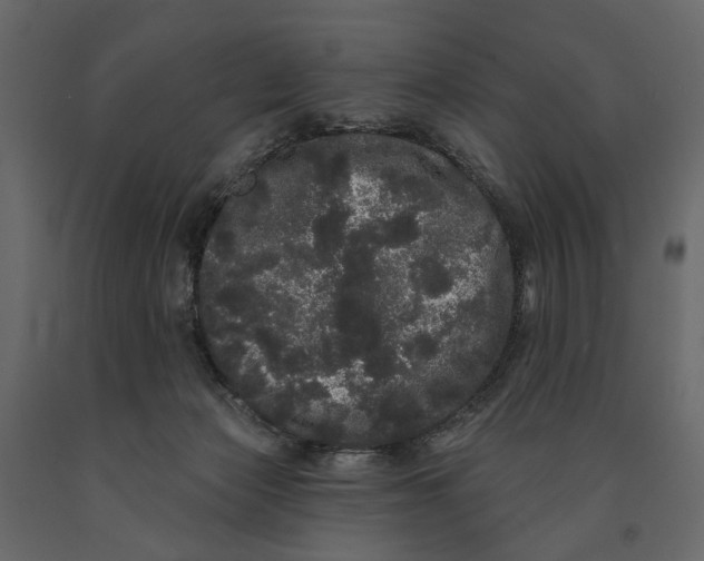 X0000091090173200708271303