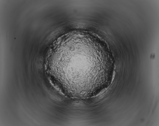 X0000091090175200708271303