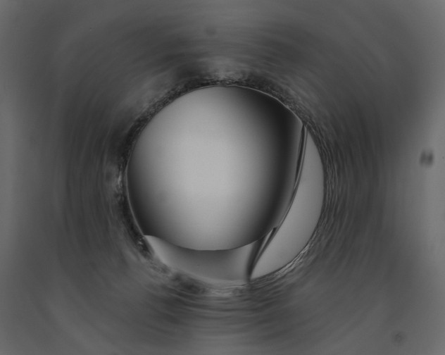 X0000091090176200708271303