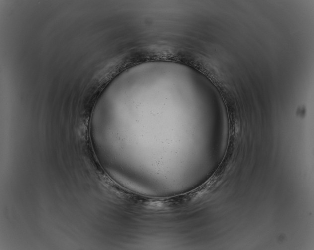 X0000091090177200708271303