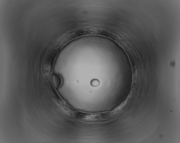 X0000091090178200708271303