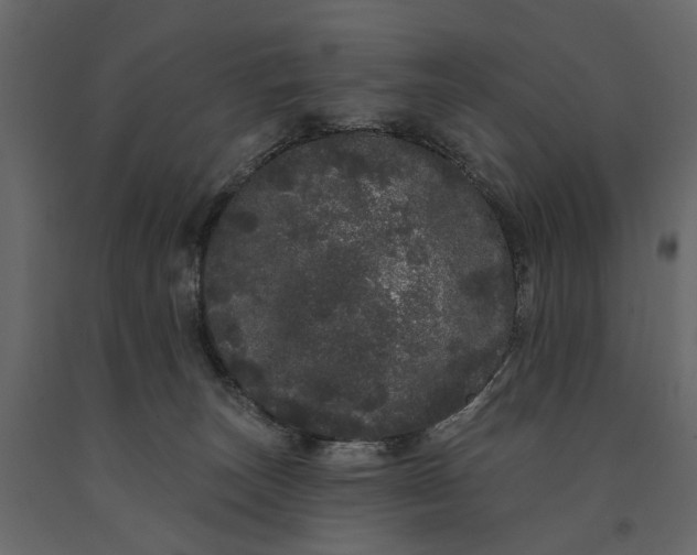 X0000091090179200708271303