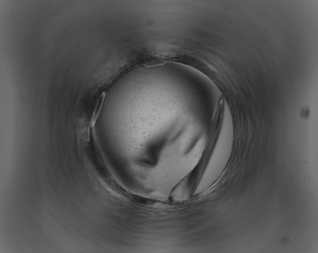 X0000091090180200708271303