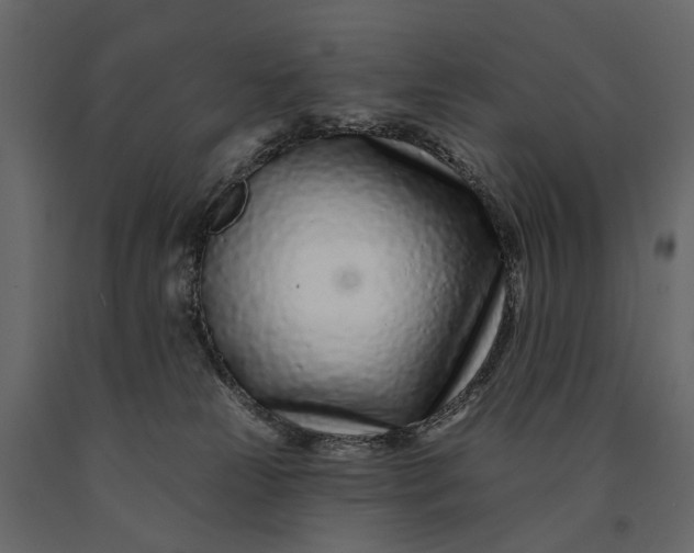 X0000091090181200708271303