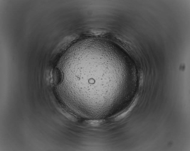 X0000091090182200708271303