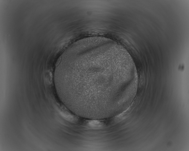 X0000091090183200708271303