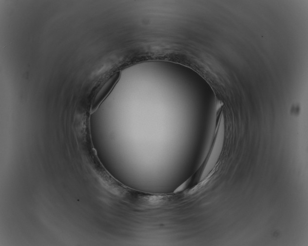 X0000091090184200708271303