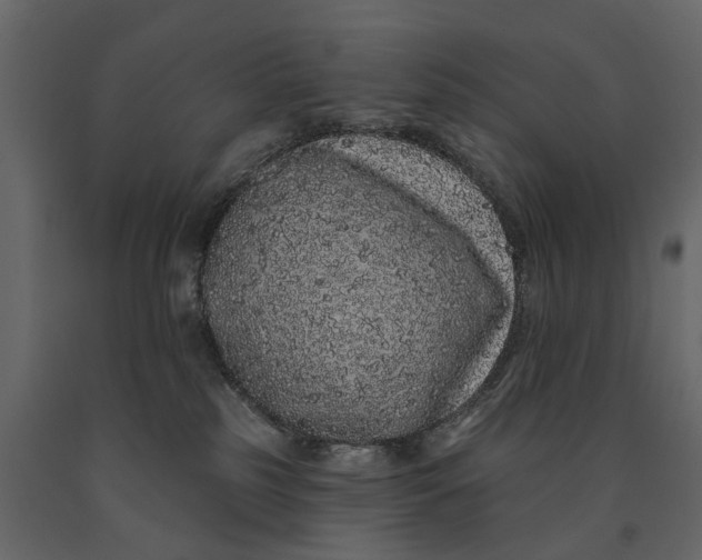 X0000091090185200708271303