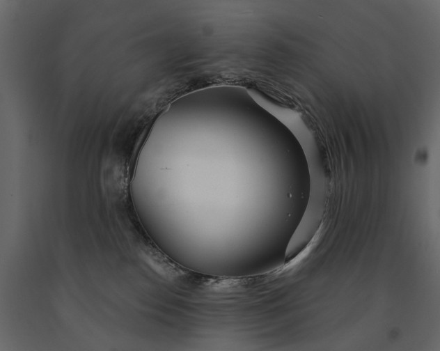 X0000091090186200708271303