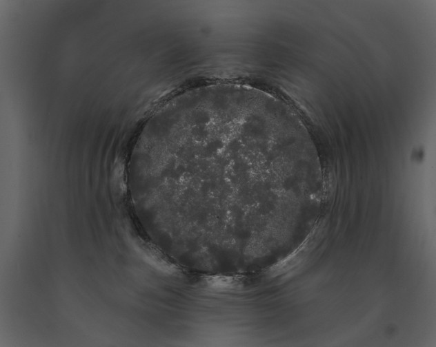 X0000091090187200708271303