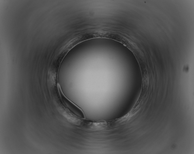 X0000091090188200708271303