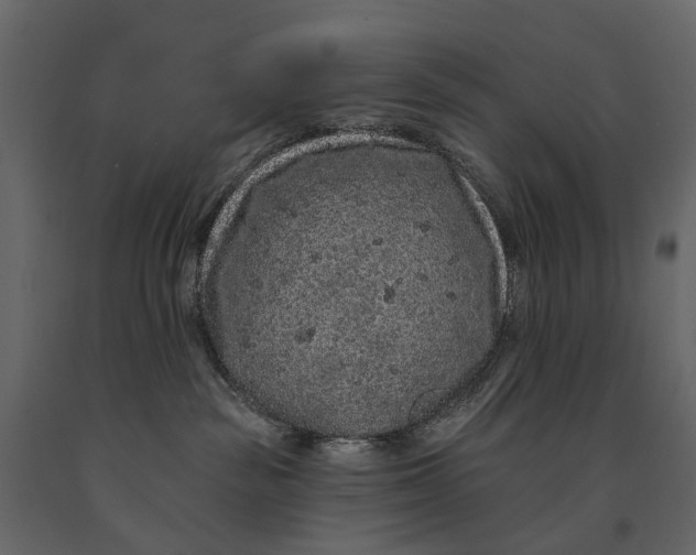 X0000091090189200708271303