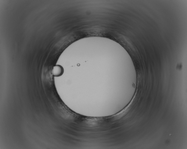 X0000091090190200708271303