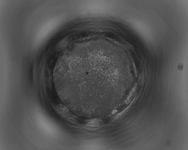 X0000091090191200708271303