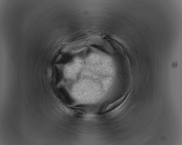 X0000091090192200708271303