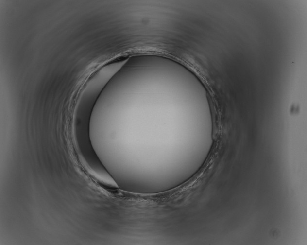 X0000091090193200708271303