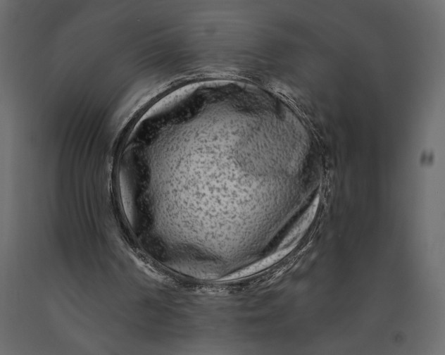 X0000091090194200708271303