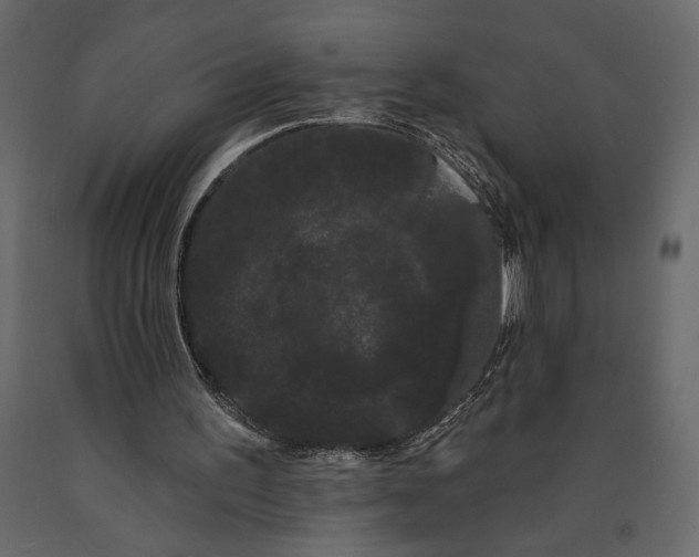 X0000091090195200708271303