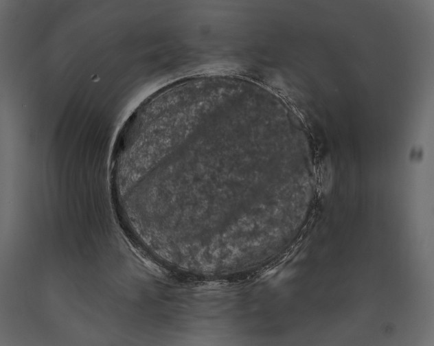 X0000091090196200708271303