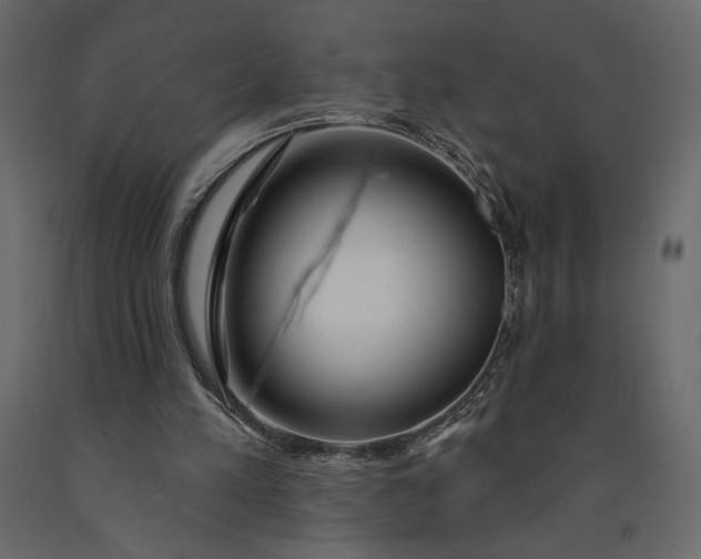 X0000091090197200708271303