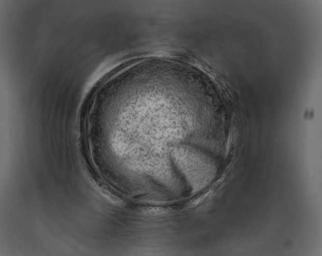 X0000091090198200708271303