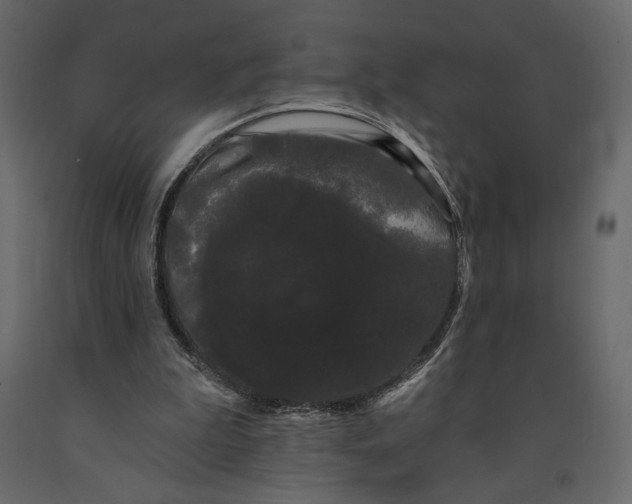 X0000091090199200708271303