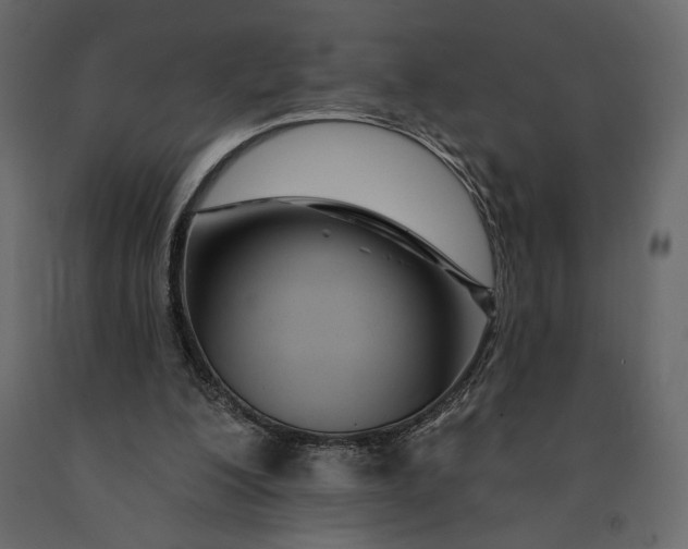 X0000091090200200708271303