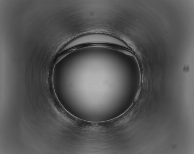 X0000091090201200708271303