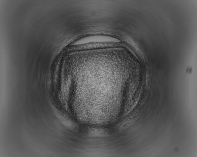 X0000091090202200708271303