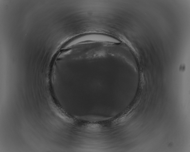 X0000091090203200708271303